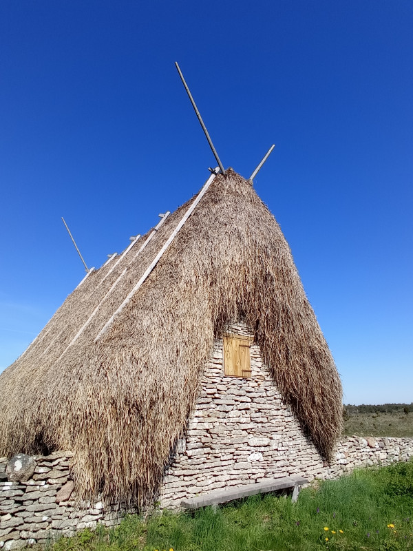 2024-05-15 10.09 Hundlausar.jpg (2.74 MiB) 4541 keer bekeken Veeschuur met galigaanbedekking