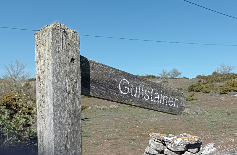 2024-05-15 15.02 Gullstainen bord.jpg