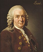 Carl_von_Linné Carolus Linnaeus 1775 Alexander Roslin - Nationalmuseum press photo - Wikipedia de vrije encyclopedie.jpg