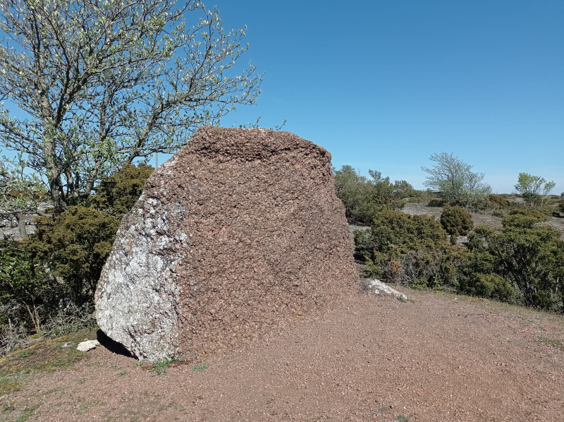 2024-05-15 14.55 Gullstainen.jpg