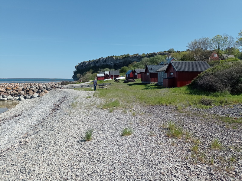 Hallshuk