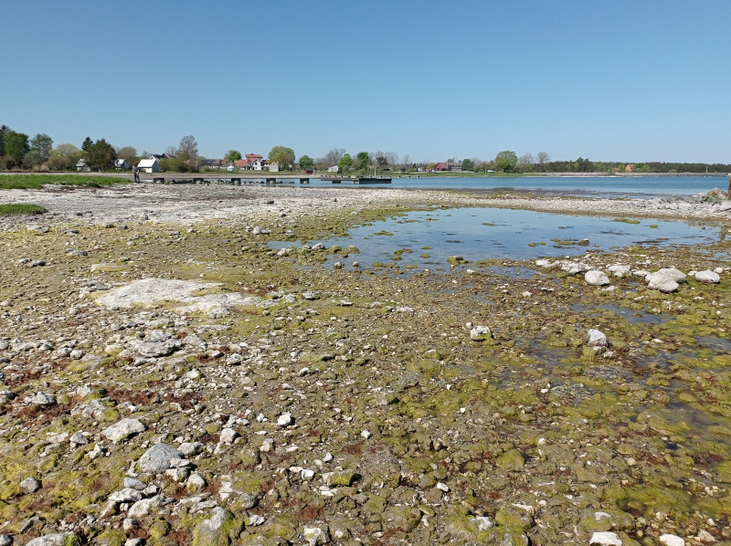 2024-05-17 10.18 Katthammarsvik.jpg (5.25 MiB) 6071 keer bekeken Katthammarsvik