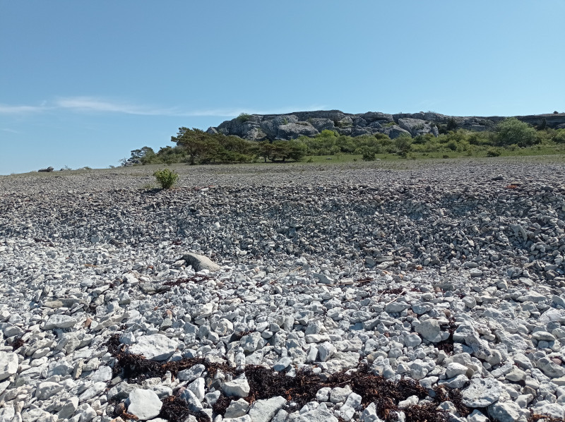 2024-05-17 11.45 Grogarnsberget.jpg