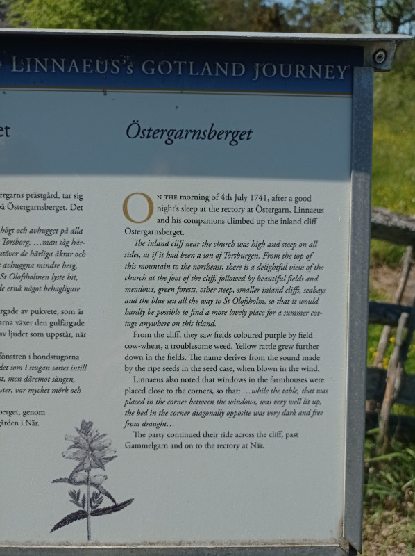 2024-05-17 13.56 Östergarnberget bord.jpg