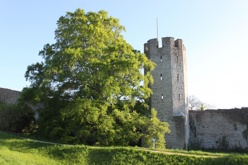 Stadsmuur Visby