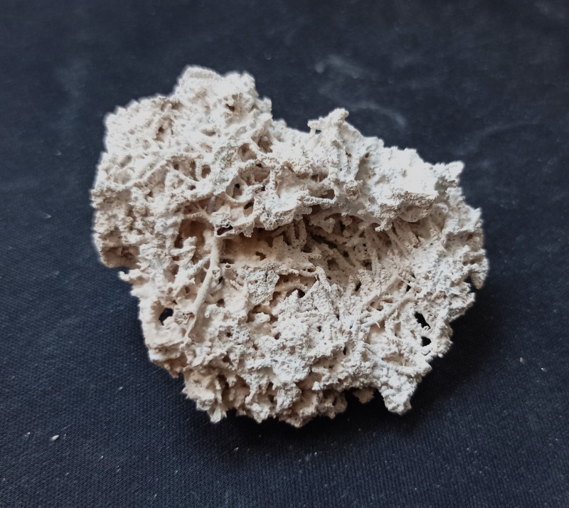 2024-05-18 Sinterkalk Kneippbyn.jpg (1.01 MiB) 4701 keer bekeken kalktuf van Kneippbyn