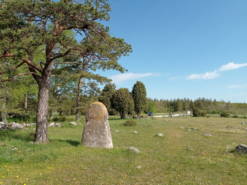 2024-05-19 09.00 Grafveld bij Gålrum - beeldsteen.jpg