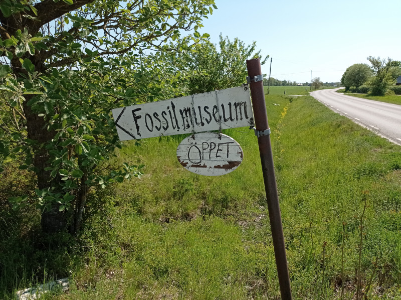 2024-05-19 13.57 Hemse - fossielenmuseum.jpg