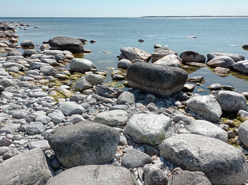 2024-05-20 13.53 Bungenäs.jpg