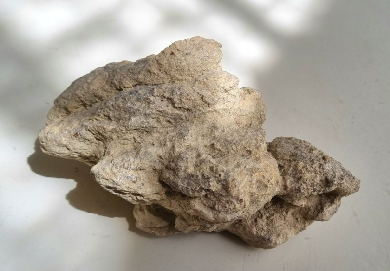 Herbivorous coprolite Hell Creek, Wyoming 06.jpg