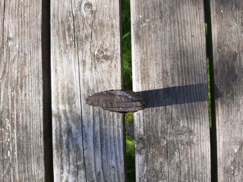 20200408_120651.jpg (4.2 MiB) 758 keer bekeken 20200408_120651.jpg