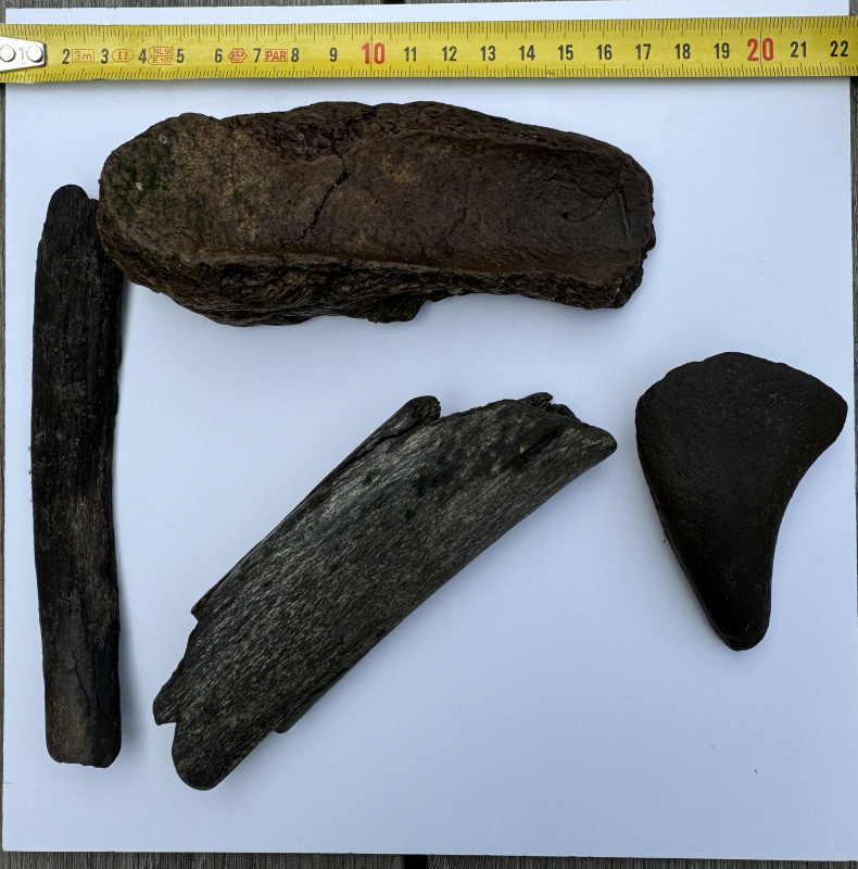 IMG_2650.jpeg (2.03 MiB) 1745 keer bekeken IMG_2650.jpeg