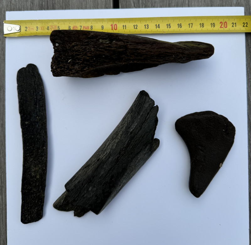 IMG_2651.jpeg (3 MiB) 1742 keer bekeken IMG_2651.jpeg