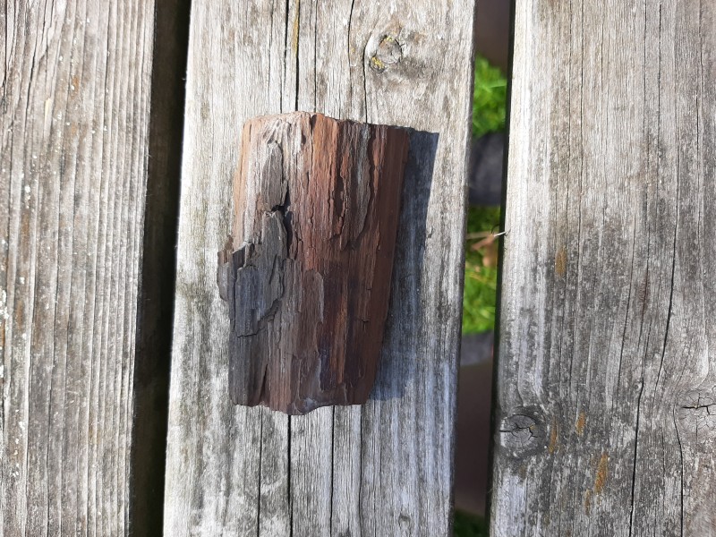 20200408_120608.jpg (5.43 MiB) 758 keer bekeken 20200408_120608.jpg