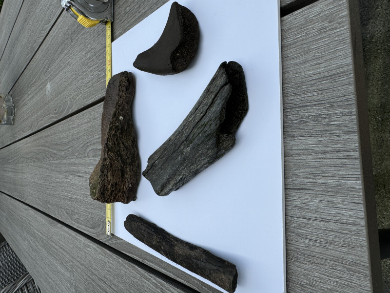 IMG_2654.jpeg (3.23 MiB) 1703 keer bekeken IMG_2654.jpeg