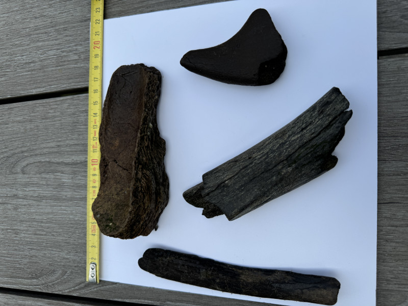 IMG_2653.jpeg (3.81 MiB) 1705 keer bekeken IMG_2653.jpeg