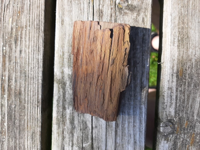 20200408_120613.jpg (3.84 MiB) 758 keer bekeken 20200408_120613.jpg