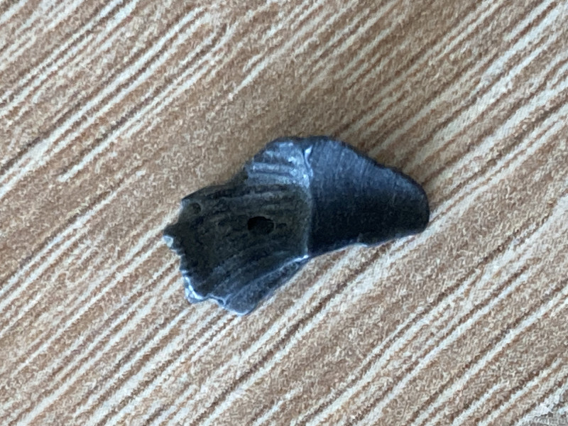IMG_1602.jpeg