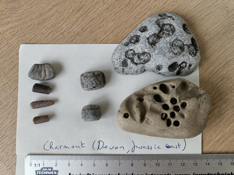 fossielen_UK_125710.jpg