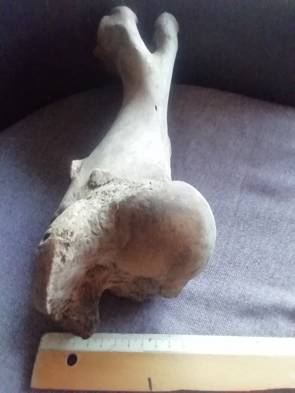 IMG_20240805_061824.jpg (1.09 MiB) 1730 keer bekeken IMG_20240805_061824.jpg