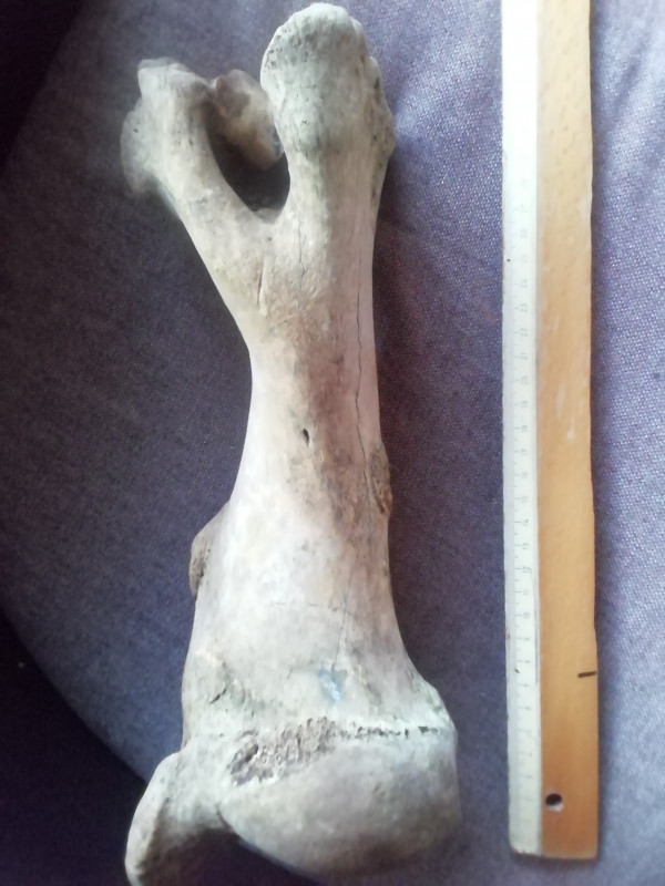 IMG_20240805_061750.jpg (906.27 KiB) 1729 keer bekeken IMG_20240805_061750.jpg