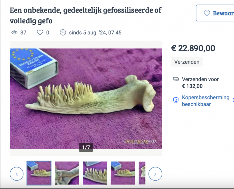 Schermafbeelding 2024-08-07 om 20.07.59.png