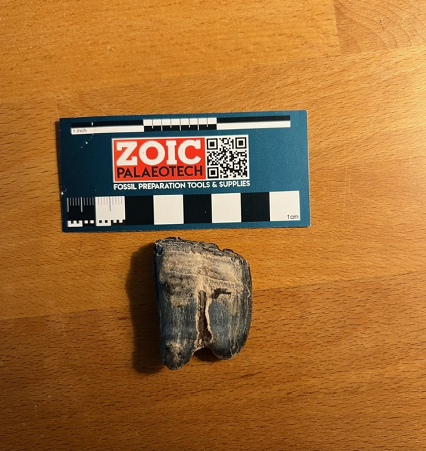 image1 (6).jpeg