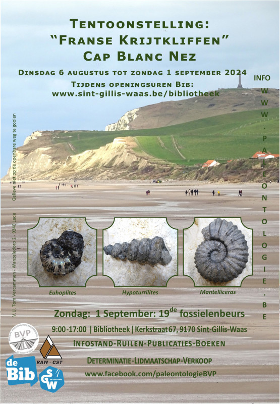 Franse Krijtkliffen Cap Blanc Nez.jpg