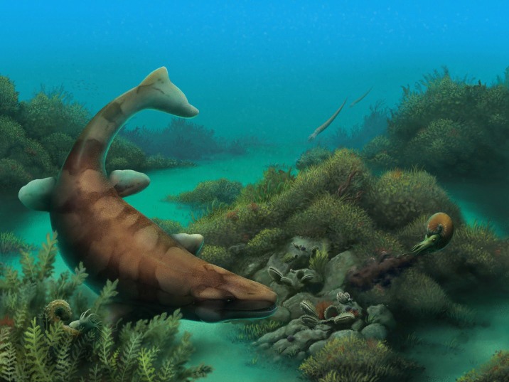 Globidens alabamaensis artistic reconstruction.jpg