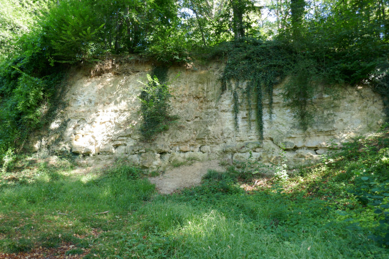 P1020870.JPG