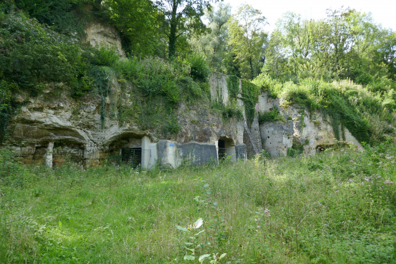 P1040079.JPG