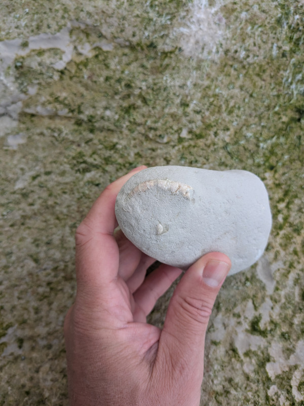 PXL_20240821_095538537.jpg (2.15 MiB) 1697 keer bekeken PXL_20240821_095538537.jpg