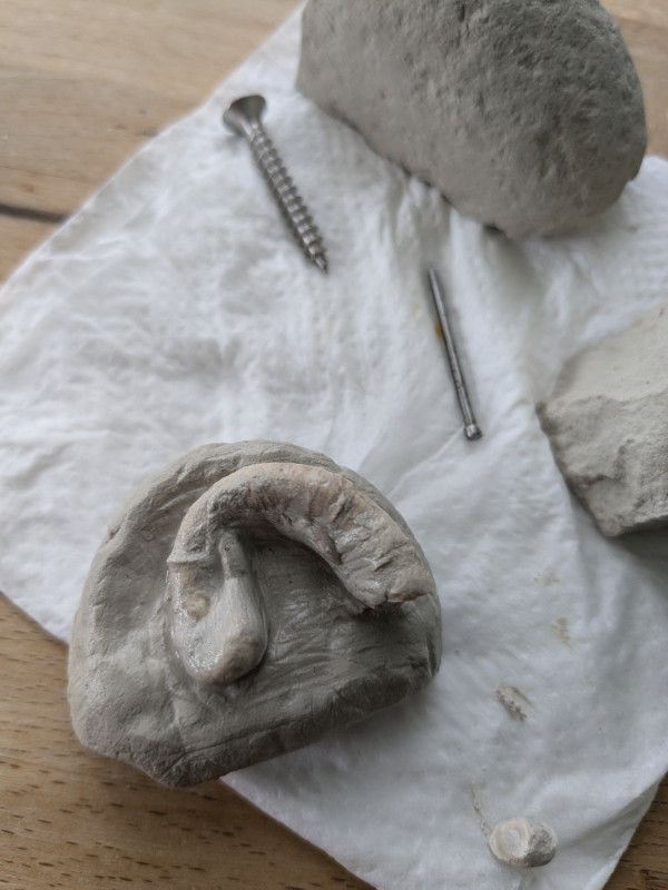 PXL_20240823_094550149.jpg (2.05 MiB) 1697 keer bekeken PXL_20240823_094550149.jpg