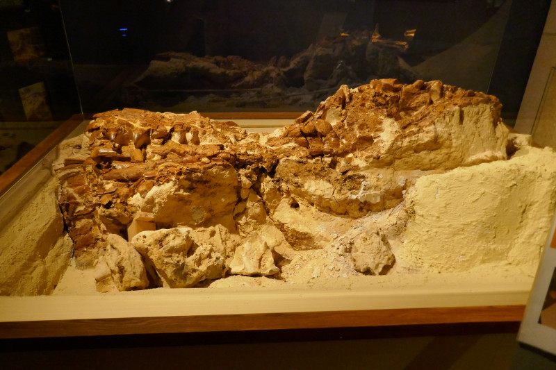 P1030736.JPG