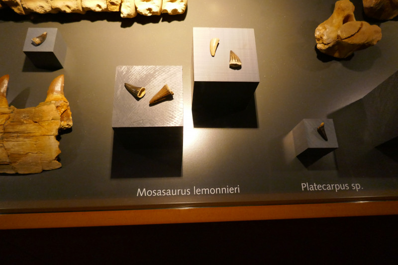 P1030726.JPG