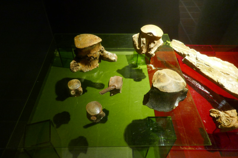 P1030732.JPG