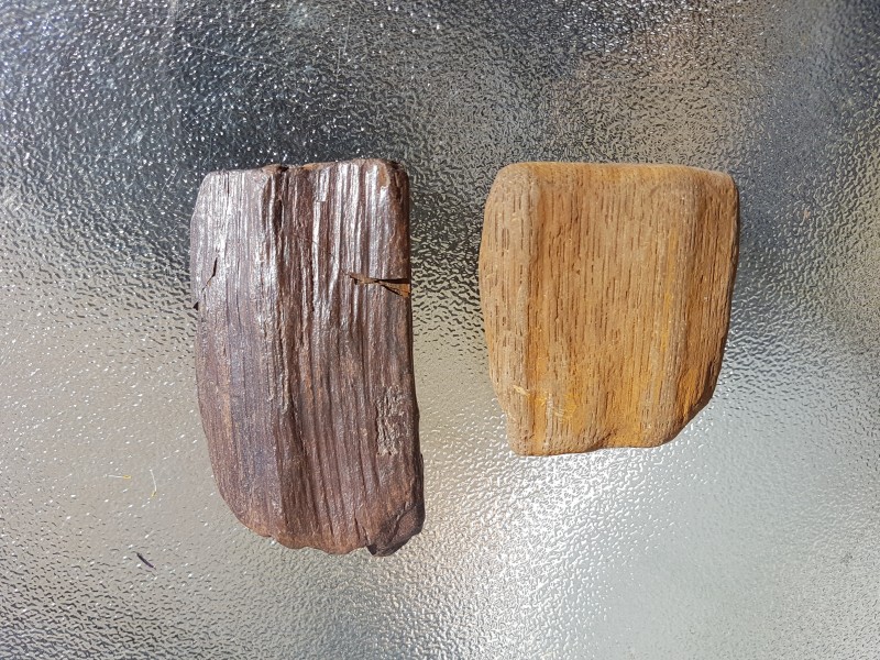 Versteend hout