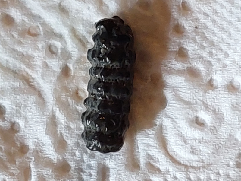 20240908_181805.jpg