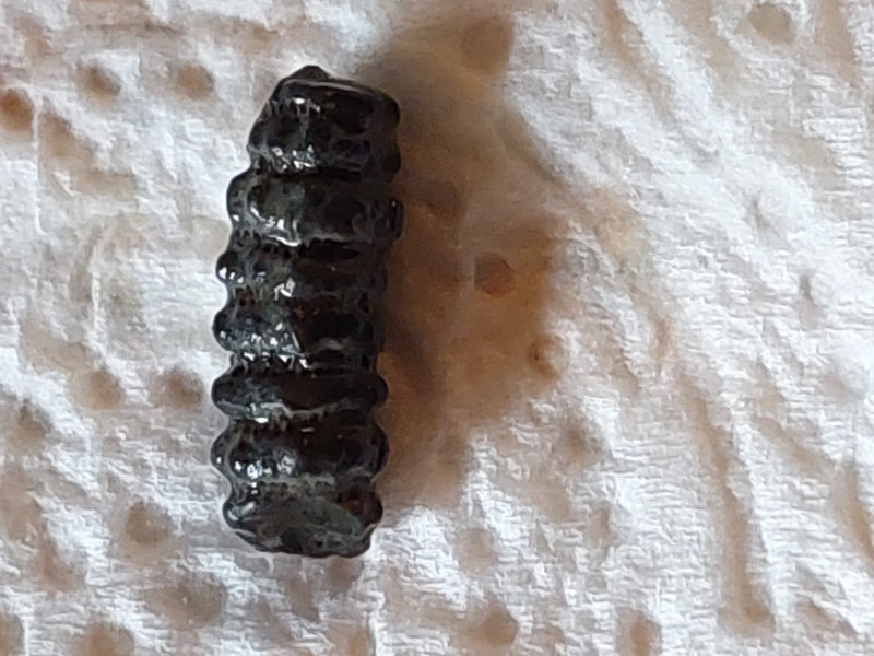 20240908_181759.jpg