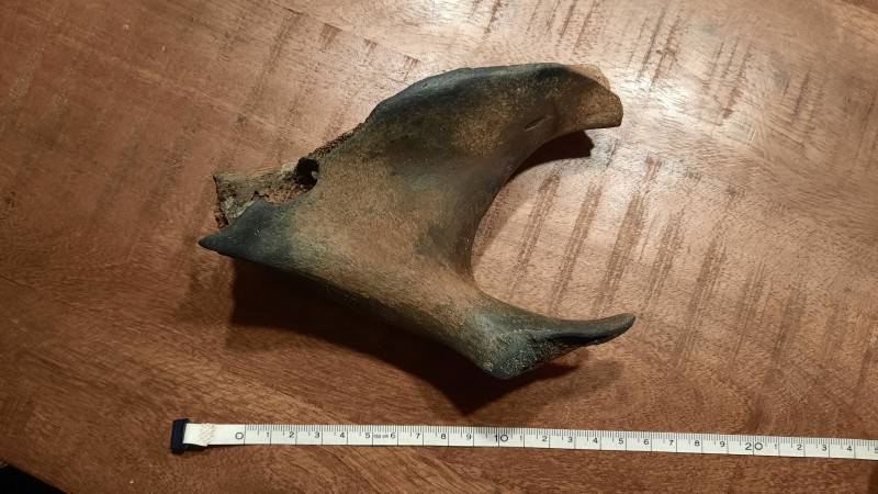 20240909_195926.jpg (2.21 MiB) 1255 keer bekeken 20240909_195926.jpg