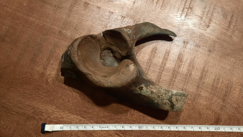 20240909_195914.jpg (2.17 MiB) 1255 keer bekeken 20240909_195914.jpg