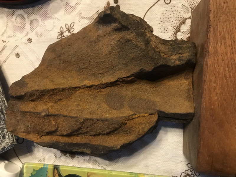 23C24CF8-E28C-4378-A12C-712A25895999.jpeg (3.51 MiB) 802 keer bekeken 23C24CF8-E28C-4378-A12C-712A25895999.jpeg