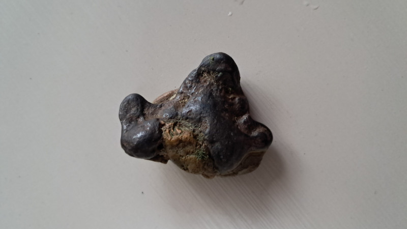 IMG-20240818-WA0021.jpeg