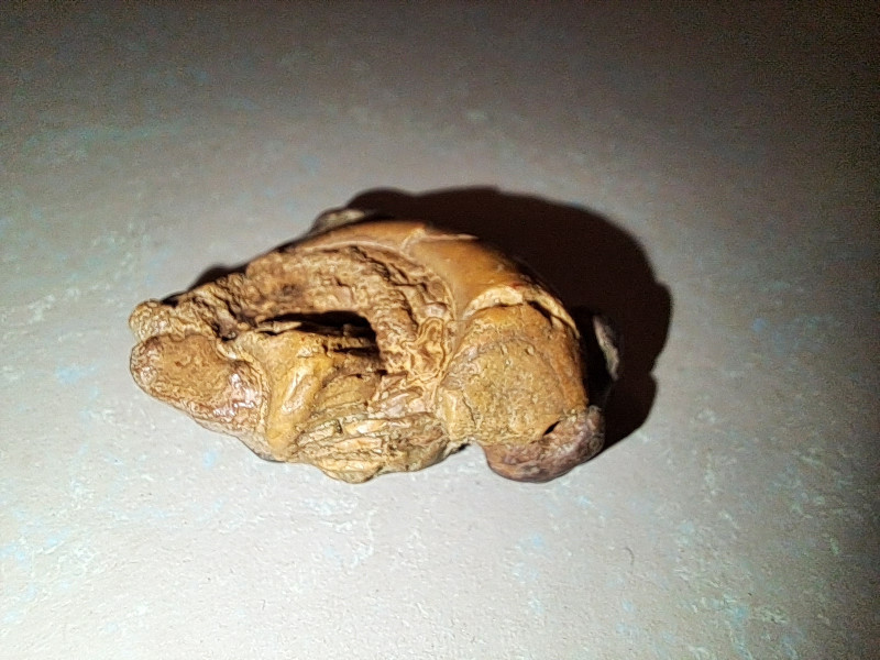 20240918_205908.jpg