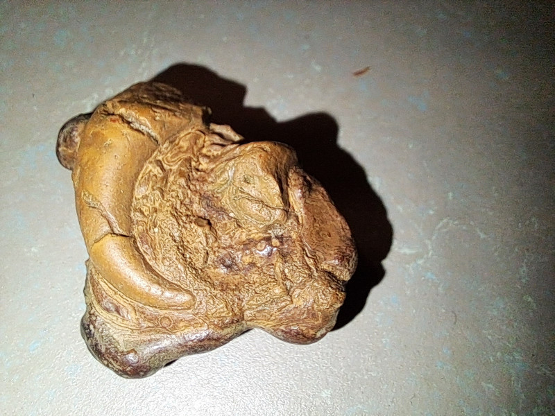 20240918_205856.jpg