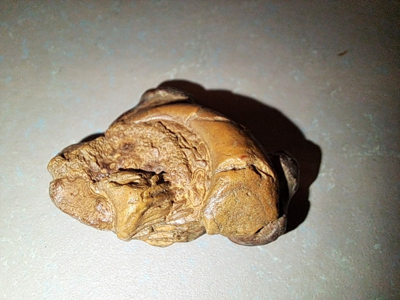 20240918_205840.jpg