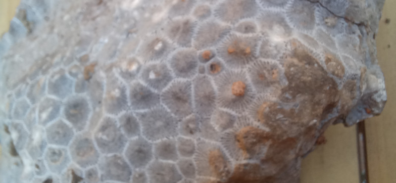 20240918_164855.jpg