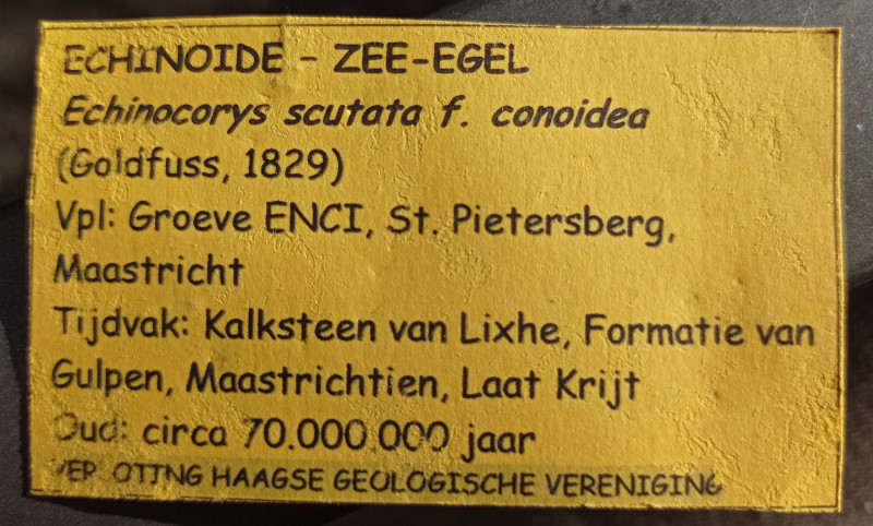 1729951890581.jpg