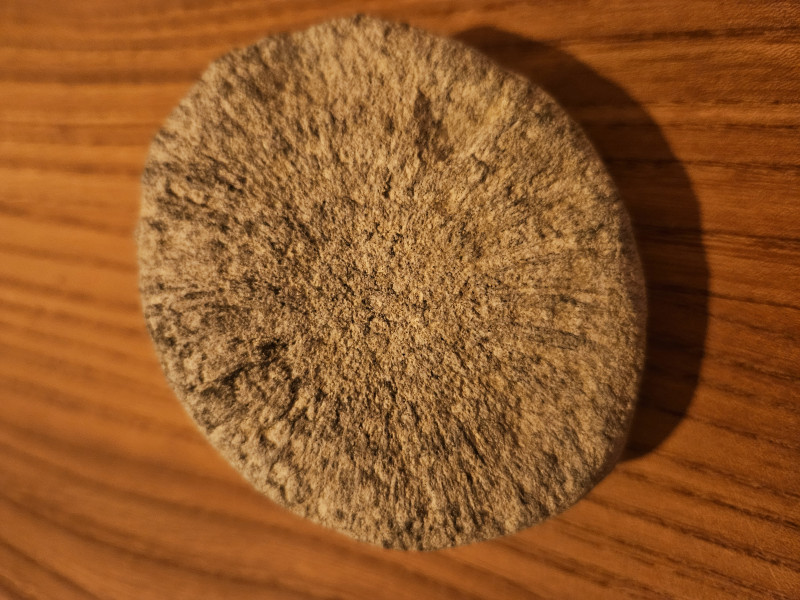 1000020832.jpg