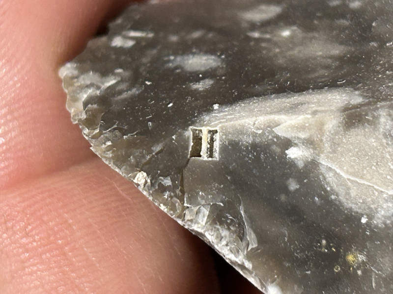 IMG_1962.jpeg (1.5 MiB) 1430 keer bekeken IMG_1962.jpeg